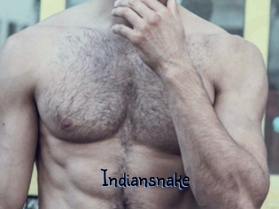 Indiansnake