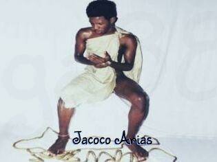 Jacoco_Arias