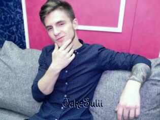 JakeSulii