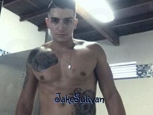 Jake_Sulivan