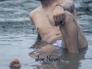 Joe_Novel