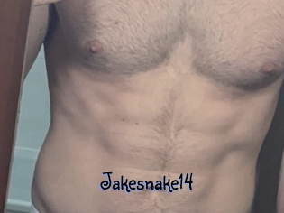 Jakesnake14