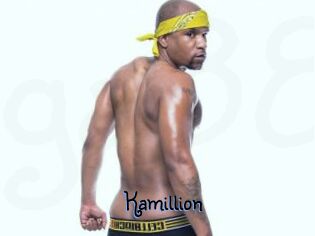 Kamillion