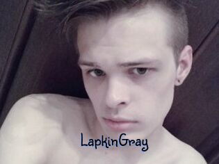 LapkinGray
