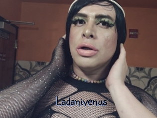 Ladanivenus
