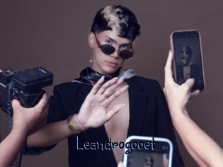 Leandrogooet