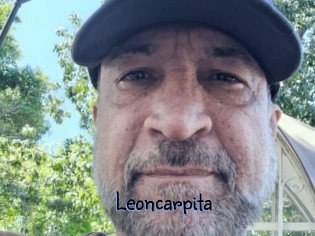 Leoncarpita