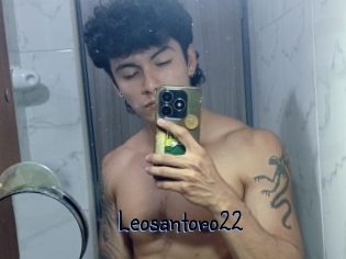 Leosantoro22