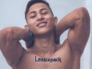Leosixpack