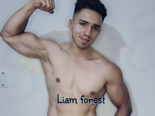 Liam_forest