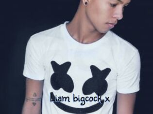 Liam_bigcock_x