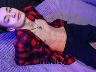 liammalloy Gay 88