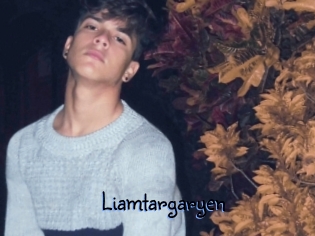 Liamtargaryen