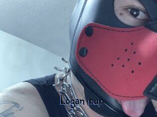 Logan_pup