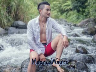 MagnusWayne