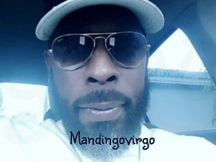 Mandingovirgo