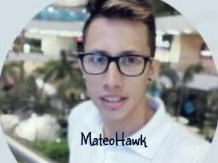 MateoHawk
