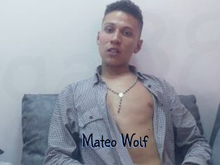 Mateo_Wolf