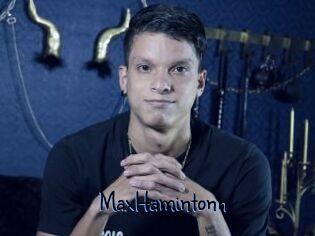 MaxHamintonn