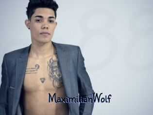 MaximilianWolf