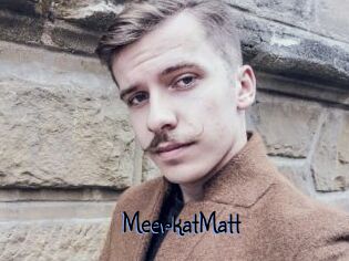 MeerkatMatt