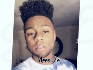 MeesLife