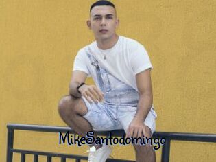 MikeSantodomingo