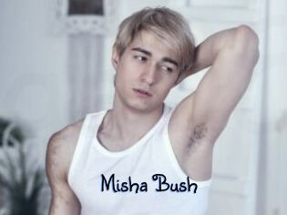 Misha_Bush