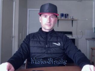 MisterShnake
