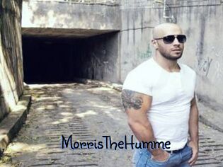 MorrisTheHumme