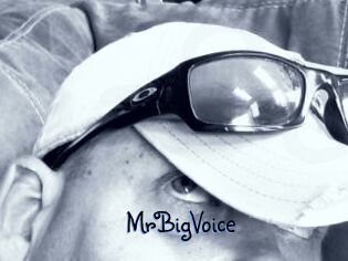 MrBigVoice