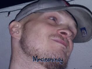 Mrcleanindy