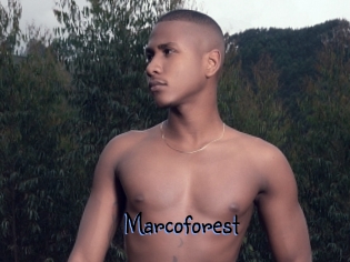 Marcoforest