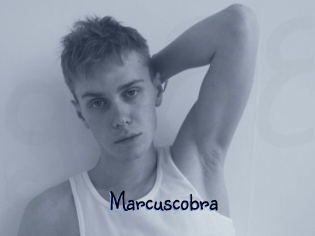 Marcuscobra