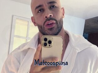 Mateoospiina