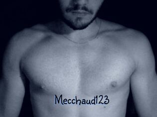 Mecchaud123