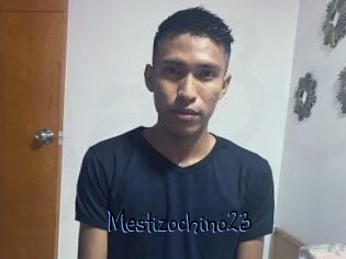 Mestizochino23