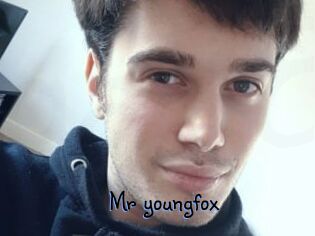 Mr_youngfox