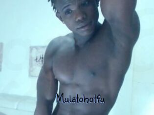 Mulatohotfu