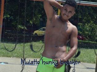 Mulatto_hunky_breaker