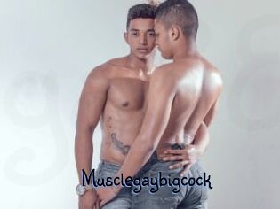 Musclegaybigcock