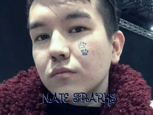 NATE_SPARKS