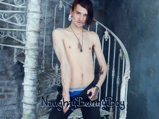 NaughtyBunnyBoy