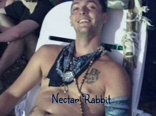 Nectar_Rabbit