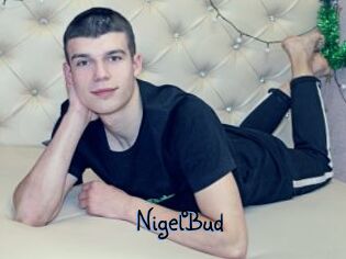 NigelBud