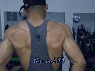 NiiccolASS