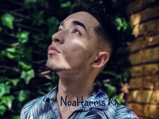NoaHarris