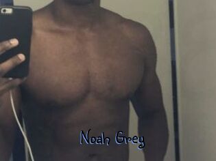 Noah_Grey