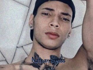 Nathan_aress