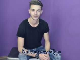 Nathanpervertgay